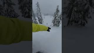 POV: No bad weather days when you're in the trees 