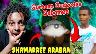 Dabboon Durba Arabaa Rikkaasha | Gurbaan Gudeeddii rawwate qabame jira | Oro news