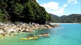 Your Guide to Nelson - New Zealand