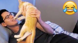 Cats Unexpected Attack On Humans - Funny Cats Attack || PETASTIC 