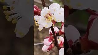 Любовь... Ты... Я и Весна... ️