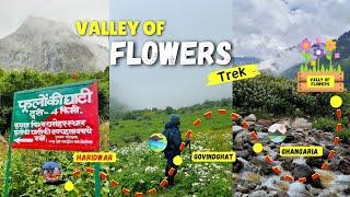 Valley of Flowers Tour Guide | Valley of flowers complete information