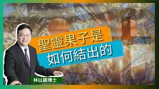 聖靈果子是如何結出的｜「愛」是屬靈生命的關鍵字｜一切能力都是從神而來 ｜ 你有什麼好驕傲的? ｜ 屬靈操練必須在群體裡活出來 ｜林以諾博士 （中文字幕）