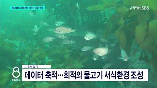 [JTV 8 뉴스]  바다목장·스마트양식, '키우는 어업' 주목