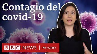 ¿Cuándo un enfermo de covid-19 deja de ser contagioso? | BBC Mundo