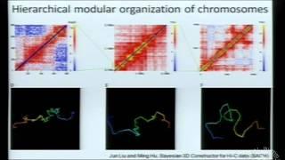 Throwing Transcription for a Loop: The Role of Chromatin Insulators in the 3D Nucleus