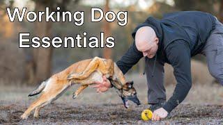 Top 3 Things For Working Dogs