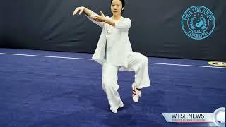 Master Hung Xueqing TaijiQuan Demonstration at 2nd International Taijiscience Forum