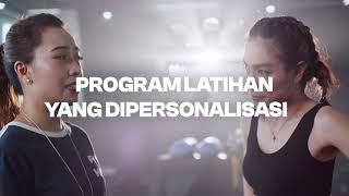 FIT HUB Personal Trainer Program: PT Overview