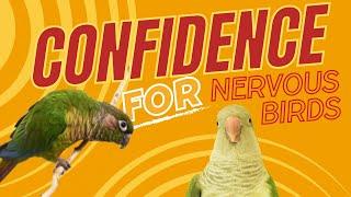 Confidence Building Basics | Topics