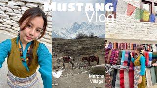 Mustang vlog I Marpha village I Muktinath temple