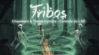 Chapeleiro & Thales Dumbra - Controle do LSD (Original Mix)