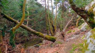 4K Hiking into the river at Parnitha mountain