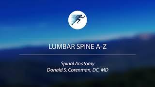 Spinal Anatomy and Nerves | Lumbar Spine Anterior and Posterior | Back Range of Motion | Vail | CO