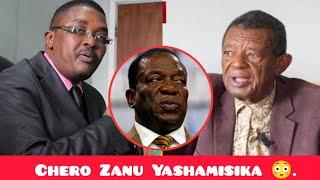 Zanu PF MP Support Geza's Call For ED Resignation 