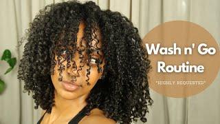 My Detailed Wash N' Go Routine... *HIGHLY REQUESTED* 