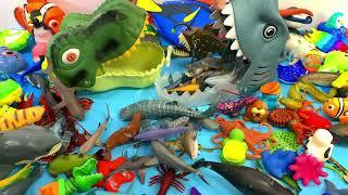 Shark Toys Unboxing for Kids