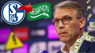  S04: WIRD ER DER NEUE ARABISCHE NEUZUGANG SEIN? aktuelle nachrichten des fc schalke 04 aktuell