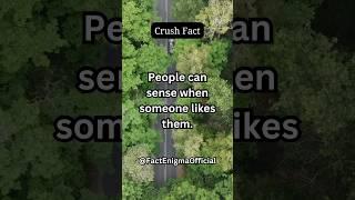 Crush Secrets  #crushfacts #crushfactspsychology #crushfactstiktok #crushfactsforgirls