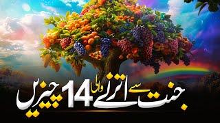 14 Things That Come Down From Heaven  | Zameer Par Jannat Ki 14 Cheezin | Jannat | Noor Islamic