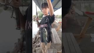 mancing mujaer cepret #fishing