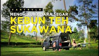 VAN TRVLR - menikmati udara segar KEBUN TEH SUKAWANA