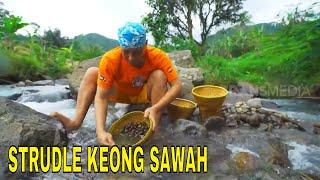 STRUDLE KEONG SAWAH | JEJAK SI GUNDUL (09/02/23(