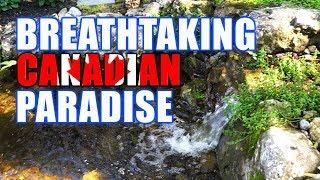 Canadian Pond That Wows You!  Greg Wittstock, The Pond Guy