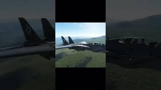 #f14tomcat#DigitalCombatSimulator #DCS #Jet #usa #Plane #shorts #fyp #ps #youtube #aviation #x