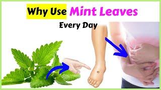 Mint Leaves: 10 Health Benefits That Surprise You!!!