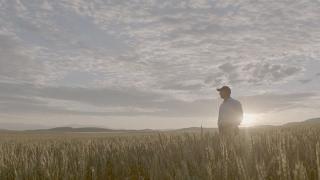 Wheat Montana | Under the Big Sky