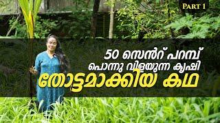 50 സെൻറ് പറമ്പ് പൊന്നു വിളയുന്ന കൃഷി തോട്ടമാക്കിയ കഥ| Farming Story | PRS Kitchen | Krishi Malayalam