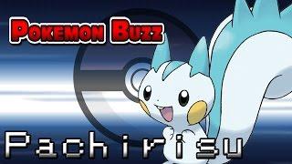 Pokémon Buzz: Pachirisu - Competitive Guide and Strategy