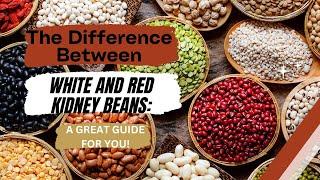 The Difference Between White and Red Kidney Beans: A Great Guide for You! (2022)