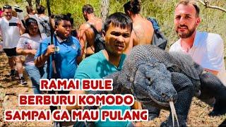 Ga Rugi Jauh-Jauh Dari Inggris Ke Pulau Komodo My Dream Come True Indonesia