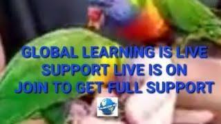 Global Learning is live