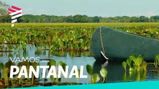 The Pantanal: untouched nature