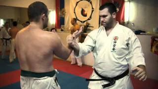 Оkikukai Shohei ryu / Uechi ryu style, the second seminar Sensei Vladimir Popovic in Moscow