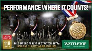 Wattletop Angus Bull Sale Preview 2016