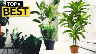  TOP 5 Best Artificial Plants [ 2024 Buyer's Guide ]