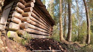 Brushing The Roof Of The Woodshed Out Of Composted Leaves | Forgotten Log Cabin Project Ep4