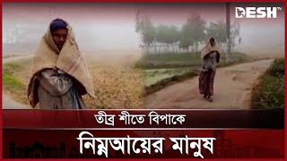 মৌলভীবাজারে বাড়ছে শীতের তীব্রতা | Moulvibazar Winter | News | Desh TV