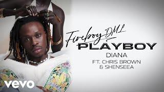 Fireboy DML & Chris Brown - Diana (Official Visualizer) (feat. Shenseea)