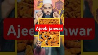 Ajeeb janwar #shots #shorts #trending #indianreaction #ai #important #motivation #bhutta #corn