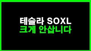 테슬라 SOXL 크게 안삽니다