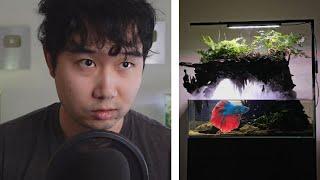 they made a CAVERN Fish Tank | Fish Tank Review 248