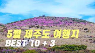 5월에 가면 좋은 제주도 여행지 모음! 제주 5월 여행지 BEST 10+3