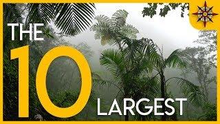 The 10 Largest Forests on Earth