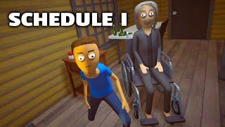 From Zero to Dealer? Day 1 in Schedule I