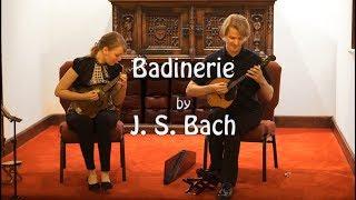 Badinerie, J.S.Bach - Aleksei Aleksandrov (domra), Ekaterina Skliar (mandolin)